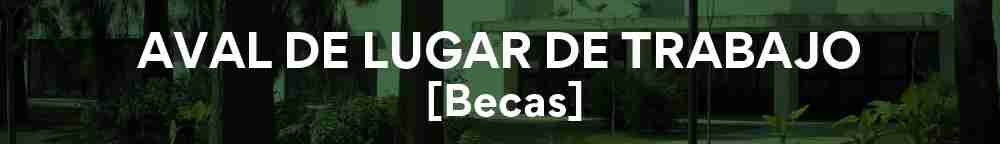 Aval lugar de trabajo